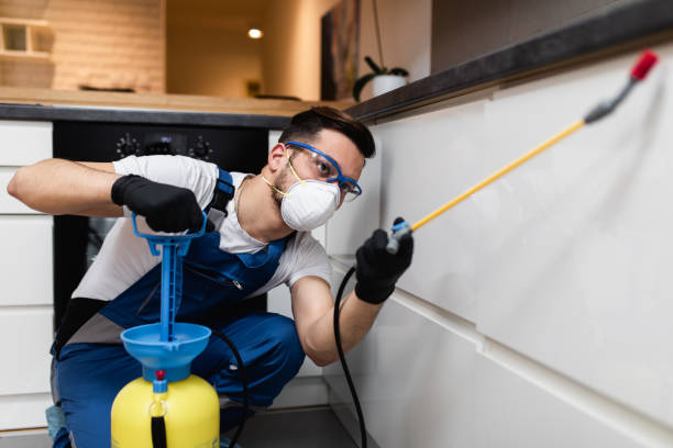 Best Mosquito Control Services  in Trexlertown, PA