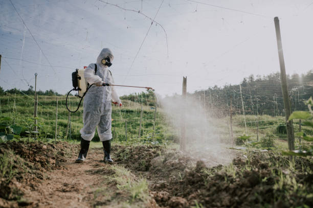 Best Termite Control Services  in Trexlertown, PA