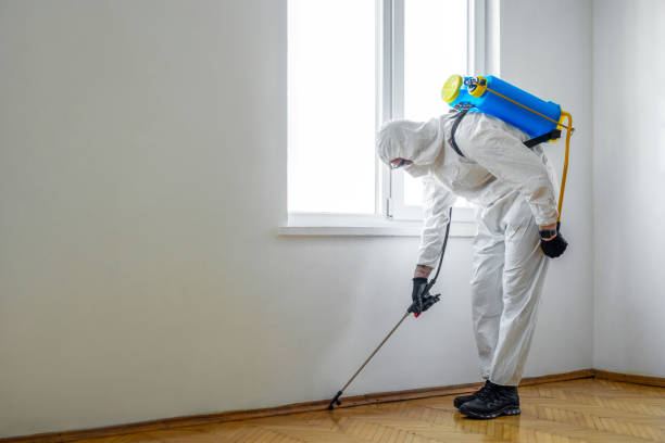Best Pest Control for Restaurants  in Trexlertown, PA