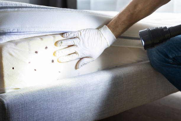 Best Emergency Pest Control  in Trexlertown, PA