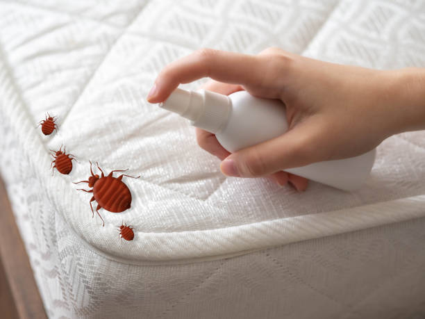 Best Pest Removal Services  in Trexlertown, PA